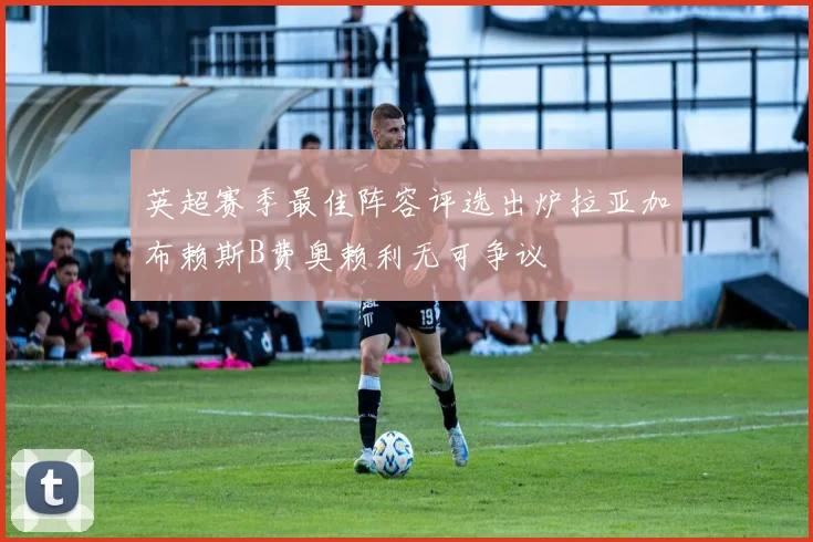 英超赛季最佳阵容评选出炉拉亚加布赖斯B费奥赖利无可争议