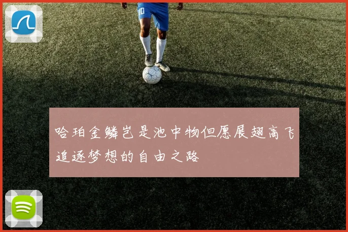 哈珀金鳞岂是池中物但愿展翅高飞追逐梦想的自由之路
